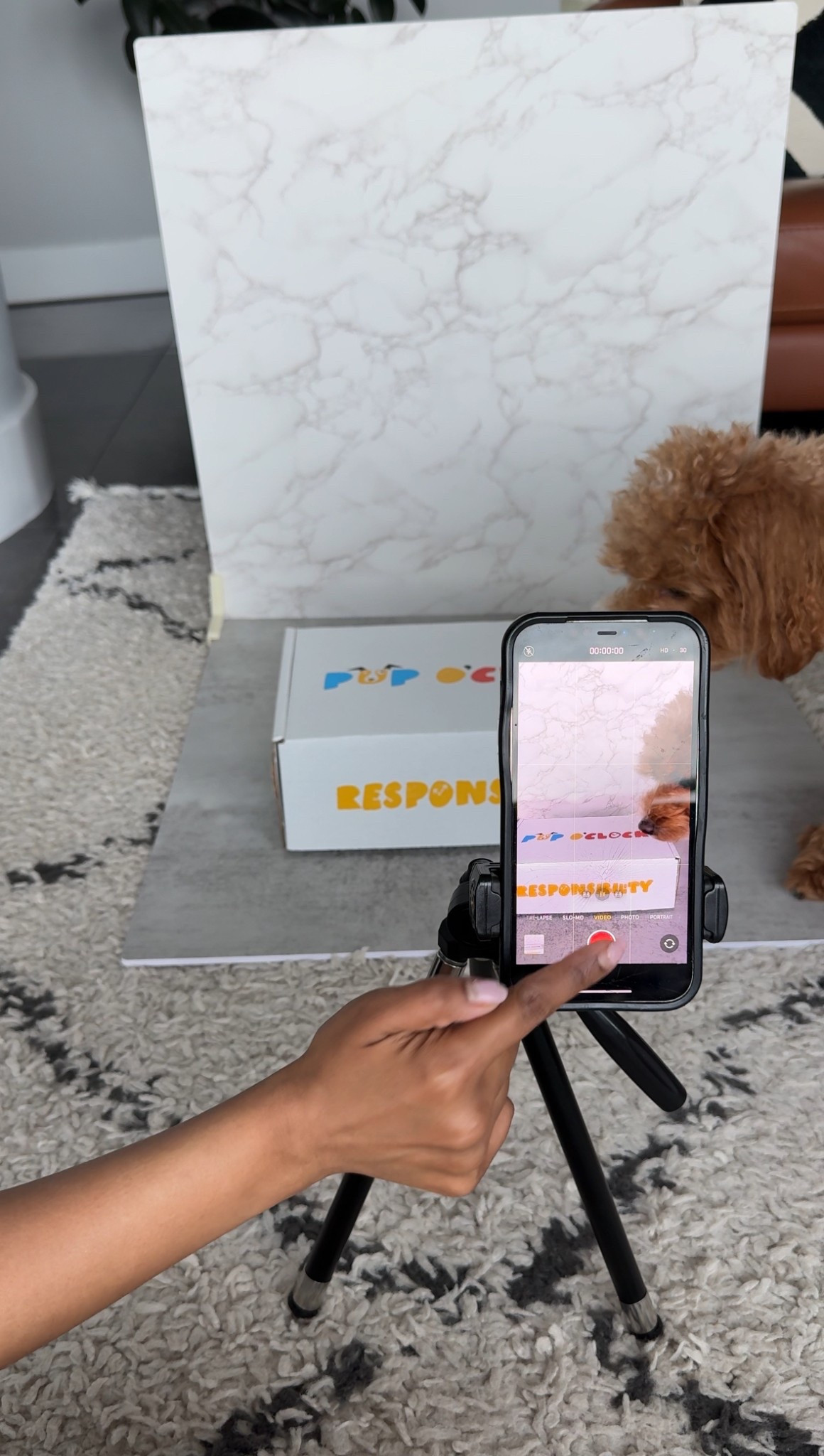 a little behind the scenes of creating content for a paid collaboration. My go to is my trusty $30 tripod. I’ve been using this new $30 backdrop to film my videos. Recommend birth for a new creator!

#LTKFindsUnder50