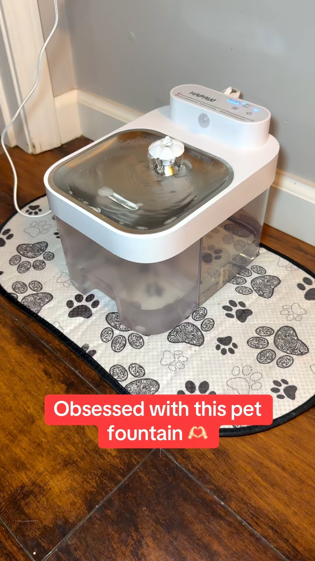 The absolute best pet fountain!  #petfountain #ltkpets 

#LTKHome