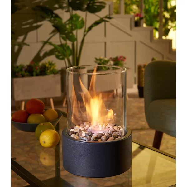 Sophie Metal Bio-Ethanol Outdoor Tabletop Fireplace with Flame Guard | Wayfair North America