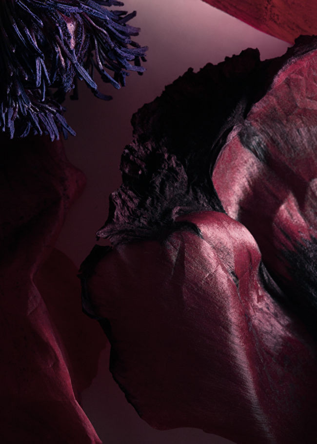 Sardonyx Fire Body Scrub | & Other Stories US