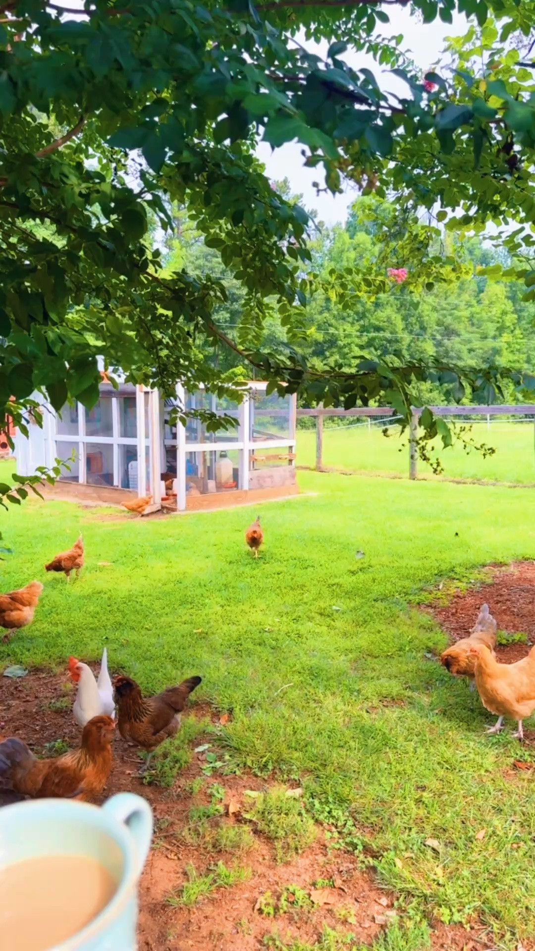 on our way now to one of wes’ cousin’s baby’s birthday party 🎉 but it was such a cozy little morning on the farm!! 🐓☕️