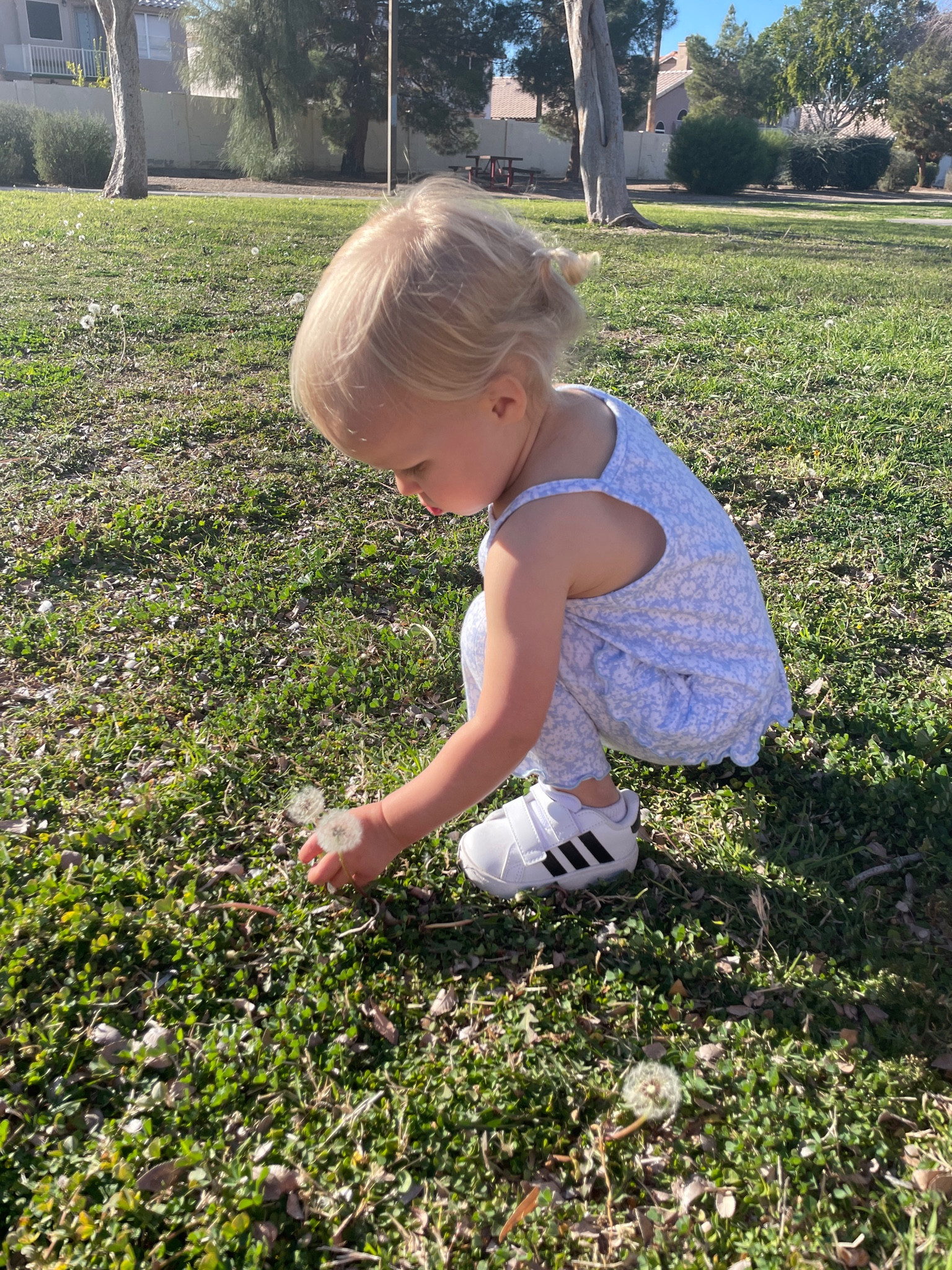 Always dressed cuter than mom 😂 But this time we have matching adidas sneakers! Check the spring toddler outfit below and grab the mommy and me sneakers while youre at it, we love them so much 🥹❤️

#LTKbaby #LTKkids #LTKSpringSale
