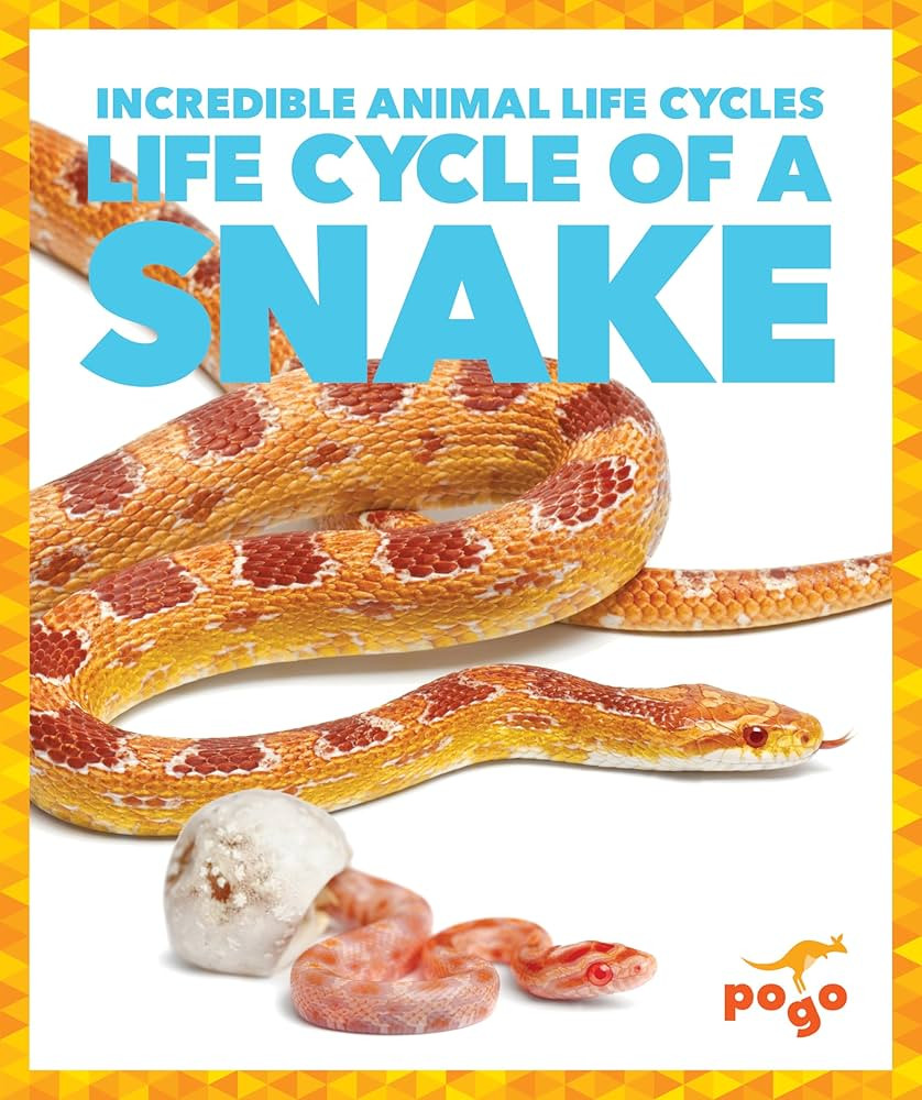 Life Cycle of a Snake (Pogo Books: Incredible Animal Life Cycles) | Amazon (US)
