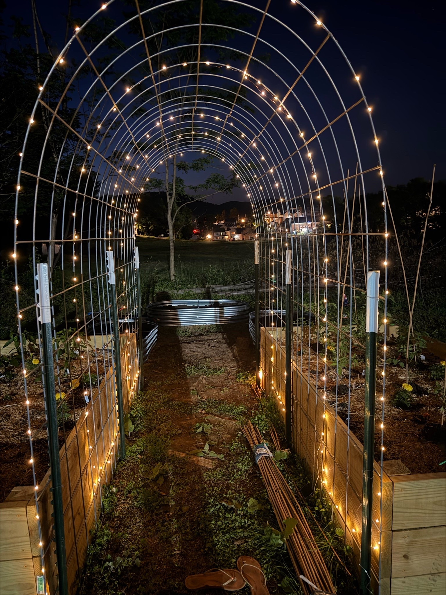 Proof that gardens are just as magical after dark. ✨🌙

Obsessed with how the lights transformed this space. ✨ Would you add twinkle lights to your garden?

 #LTKHome #LTKGarden #GardenInspiration #RaisedBedGarden #GardenArch #OutdoorLiving #BackyardGarden #GardeningLife

#LTKdayinmylife #LTKHome #LTKSeasonal