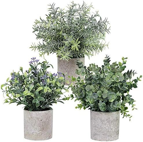 3 Pack Assorted Greenery in Pots Artificial Eucalyptus Rosemary Seeded Boxwood Small Potted Plant... | Amazon (US)