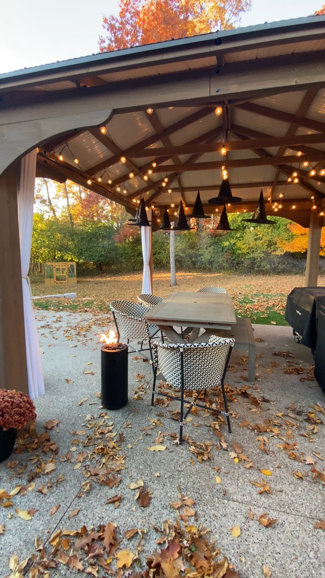 Outdoor Halloween decor. Floating witch hats and string lights  

#LTKHalloween #LTKSeasonal #LTKHome