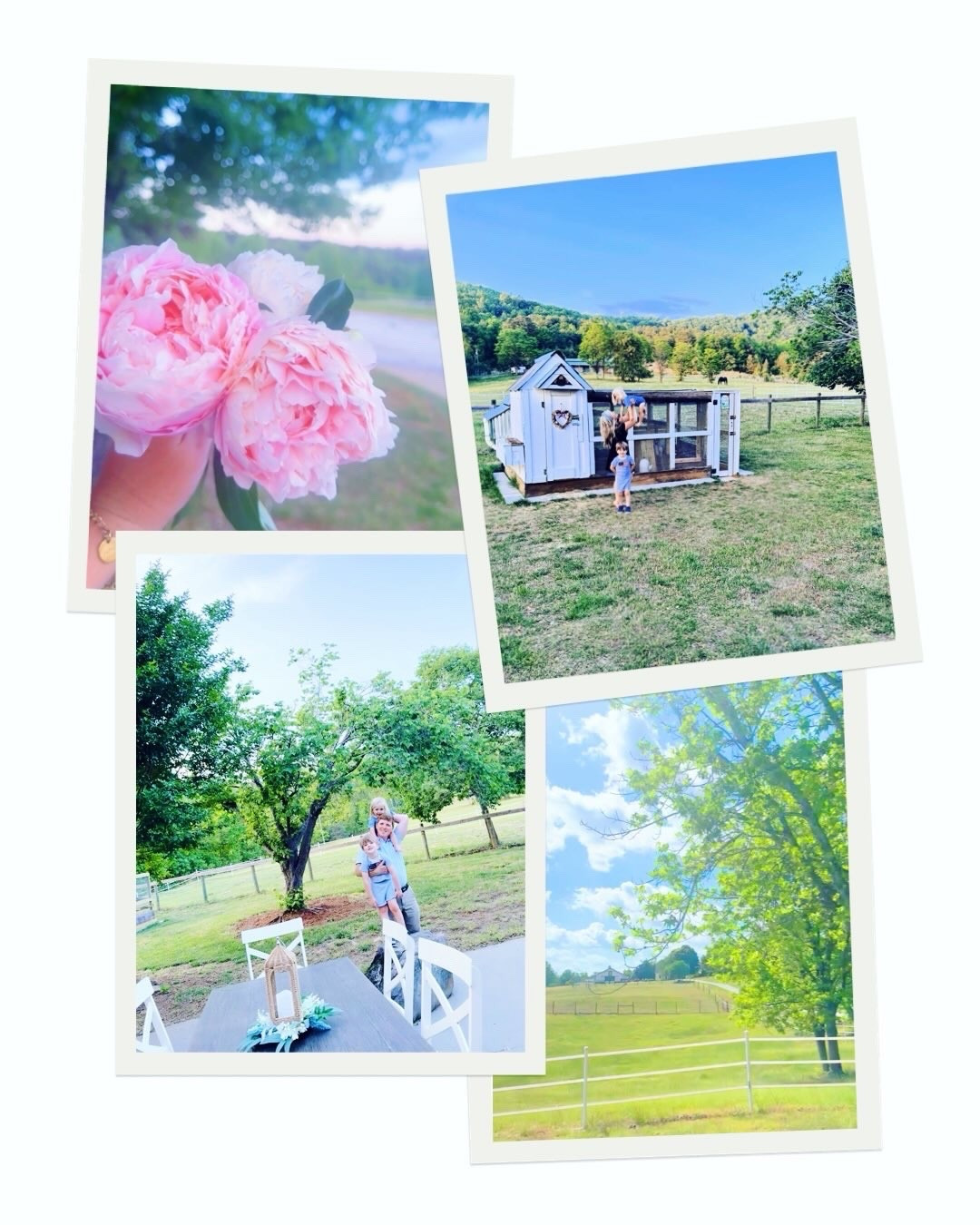 l i f e  l a t e l y 🌸🧺🏡🧢🌼⚾️🪴🌾🏟️🌼🪏🐴🐓🎨🌳🖼️☀️🚜🇺🇸☔️🥚

Between alllll the gorgeous peony blooms 🌸 here on the farm 🚜, to decorating the farmhouse for our American 🇺🇸 honey 🍯 summer ☀️ ahead, celebrating 🎉 @wesmabry’s cousin’s upcoming wedding 💒 and his Nana’s 90th (!!) birthday 🎂 (what a blessing she is to all 🫶🏽), a pulled pork bbq 🍗 sunday lunch out on the back porch with my boys 😋, starting off a fun 🤩 new homeschool ✏️ preschool 🍎 unit 📖, celebrating 🙌🏽 sweet friends’ little ones’ birthdays 🎈 (& picking wild honeysuckles with friends 🌼), our first spring rain ☔️ here on the farm this weekend (and more coming down as we speak!! 🌧️), exploring all around the farm on our wide open spaces 🌳🌾 (what a dream 💭 these 12+ acres are y’all 🥹), an awesome tball game ⚾️ last night 🙌🏽, and so much more… life sure had been FULL around here & we couldn’t love this sweet season of life more!! 💖
