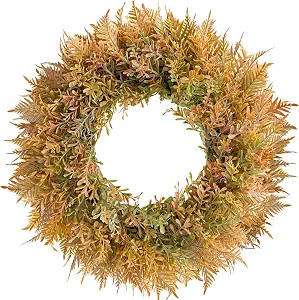 18 Inch Fall Fern Eucalyptus Wreath Autumn Front Door Wreath | Amazon (US)
