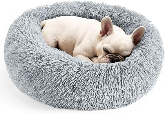 Hoewina Dog & Cat Bed for Indoor Cats, 20in Calming Donut Bed for Puppy and Kitten, Washable Roun... | Amazon (US)