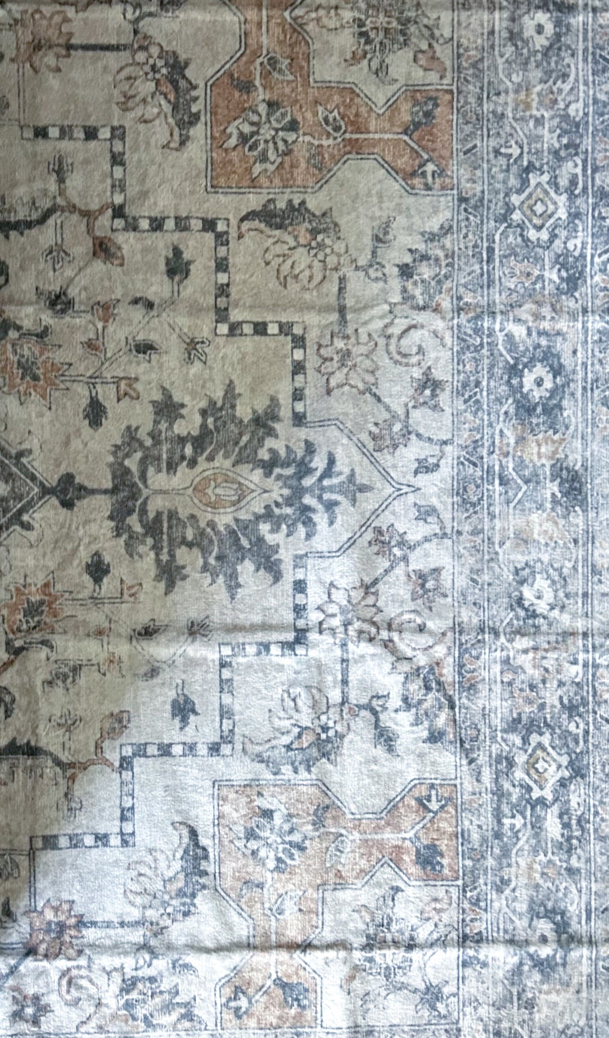 5x7 Amazon rug under $60! 

#LTKcanada #LTKsale