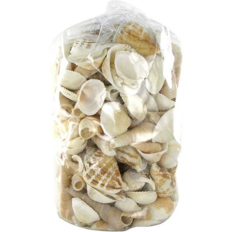 Akasha Decorative Assorted White Shells, 1.5 lb. Bag - Walmart.com | Walmart (US)