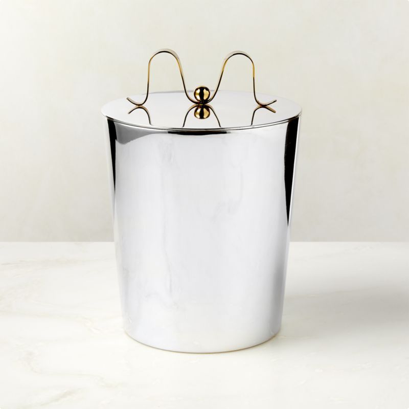 Boule Stainless Steel Ice Bucket + Reviews | CB2 | CB2