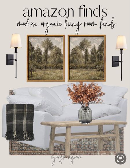 Modern organic living room finds. Budget friendly. For any and all budgets. Glam chic home, French Country Style, Parisian Chic. Home decor and accessories.#LTKFind 