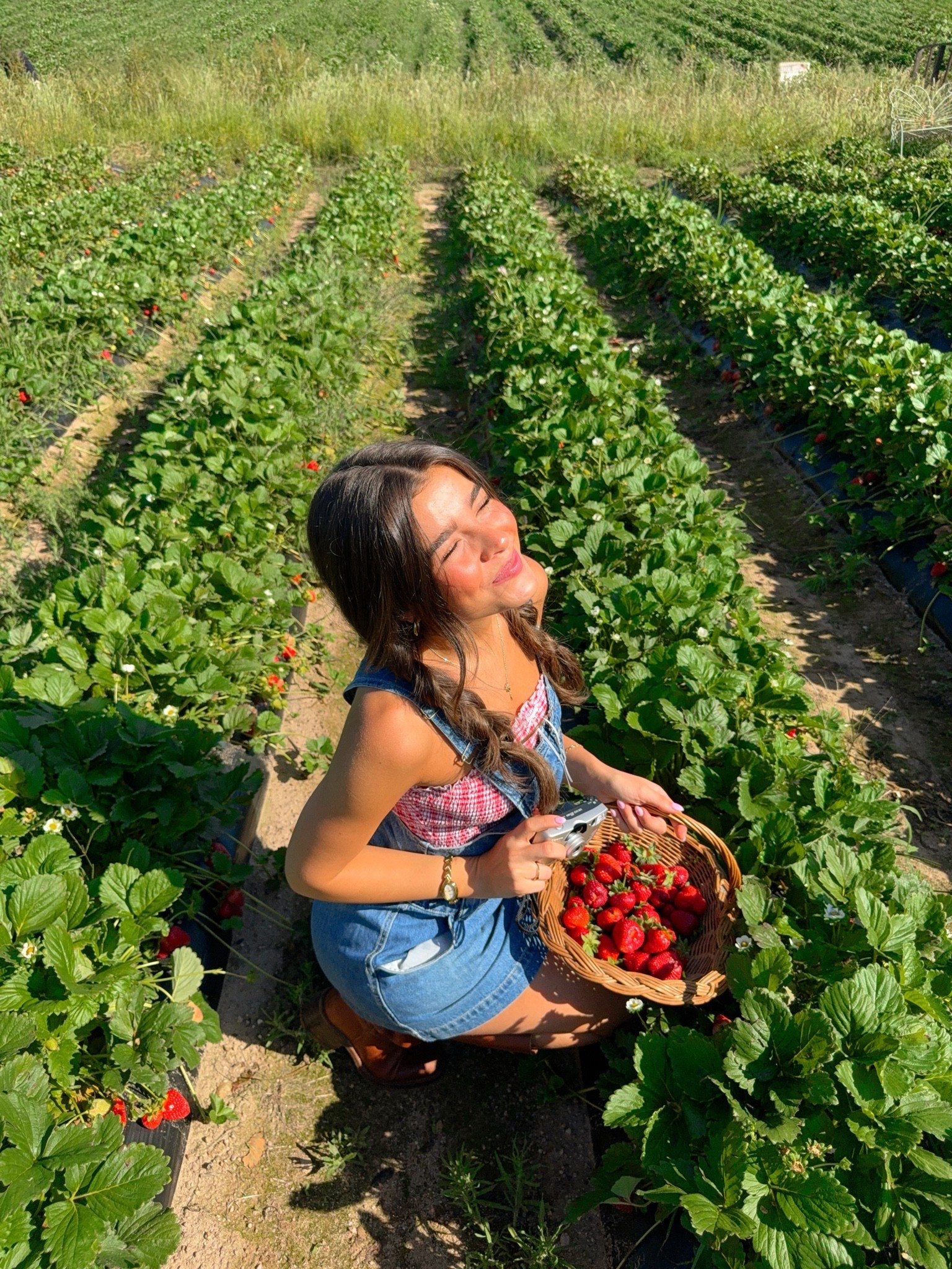 Strawberry picking!!

#LTKdayinmylife #LTKgrwm #LTKootd