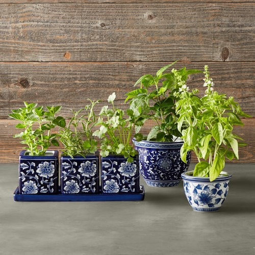 Blue & White Ultimate Mini Planter Set | Williams-Sonoma
