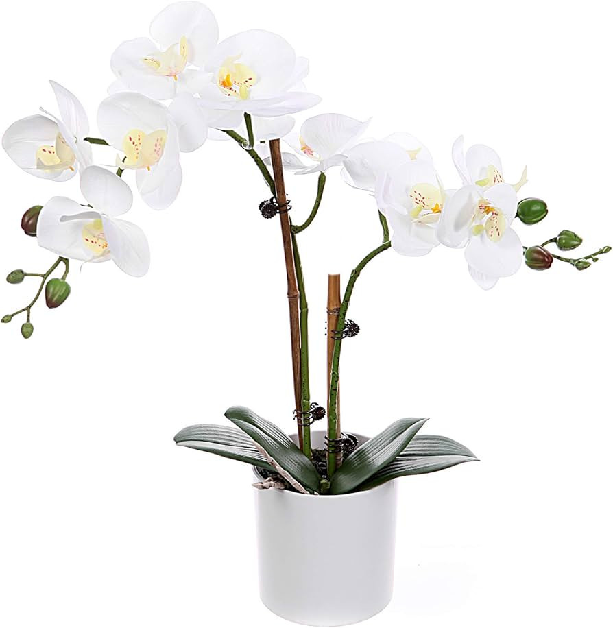 Artificial Phalaenopsis Orchids Flowers with White Vase, Tall Real Touch Arrangements for Home, D... | Amazon (US)