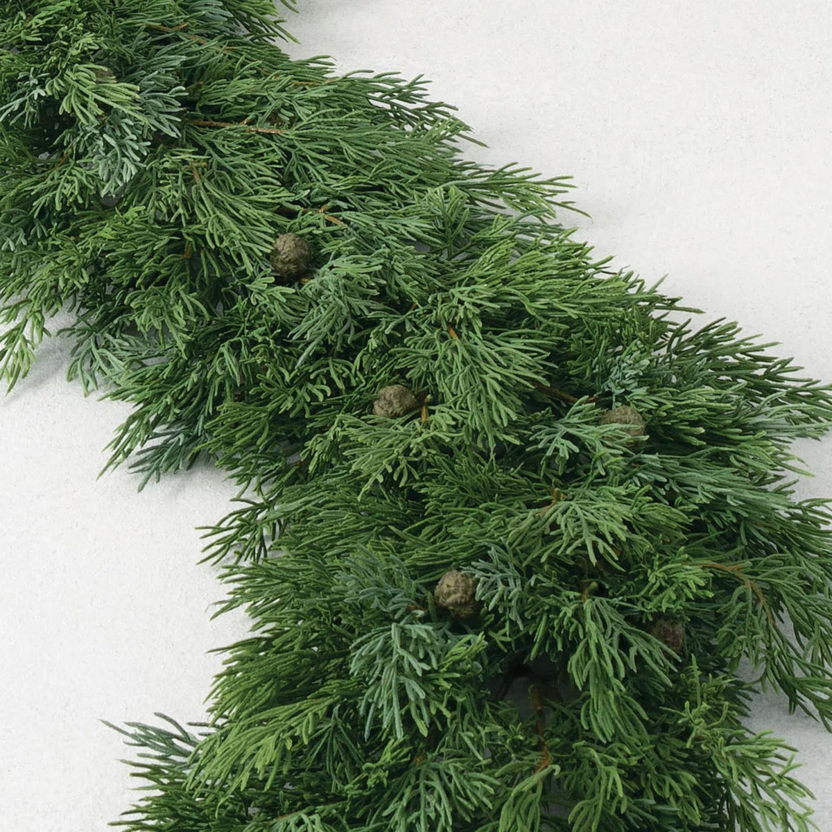 ByBirch Lane™ | Wayfair North America