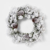 Click for more info about 24in Unlit Mixed Pine Flocked Pinecone Wreath - Wondershop™