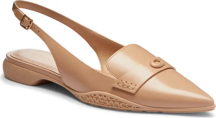 COACH Carrie Pointed Toe Slingback Flat (Women) | Nordstrom | Nordstrom