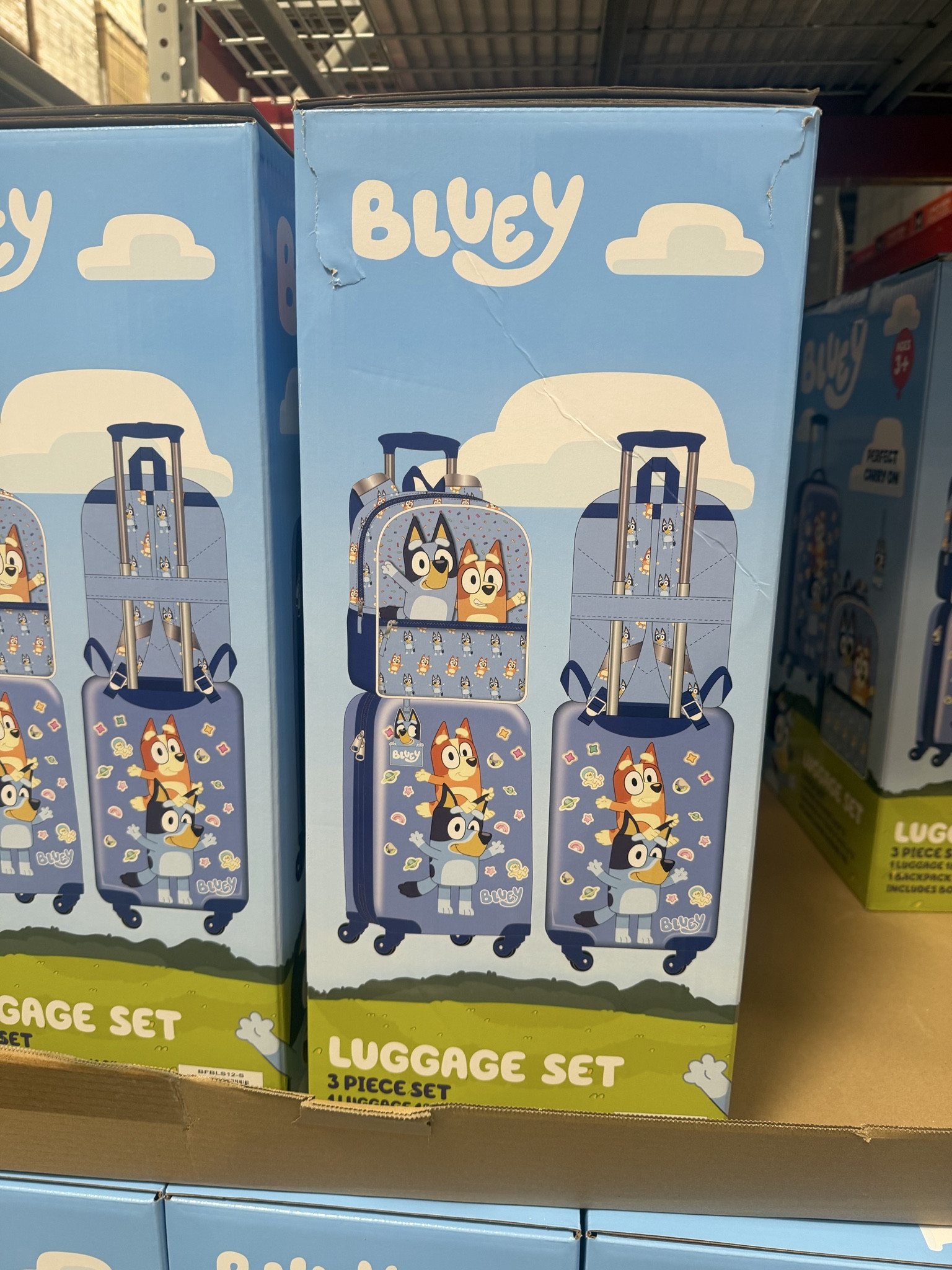 Bluey Sam’s Club Find! 