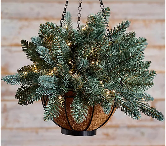 Bethlehem Lights 18" Hanging Basket with 3-in-1 Micro LEDs | QVC