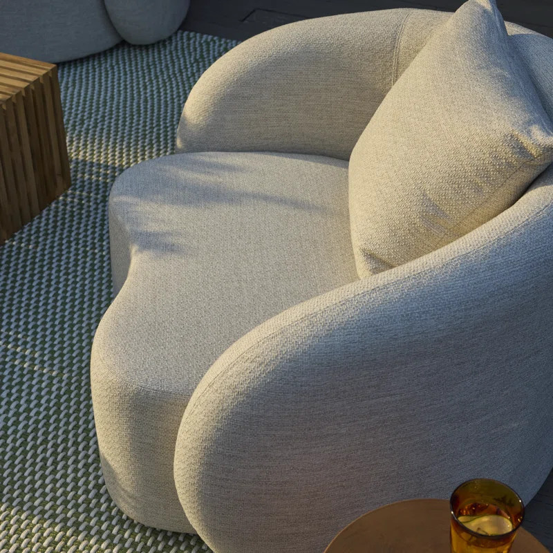 Kaly Outdoor Lounge Chair with Cushion | AllModern