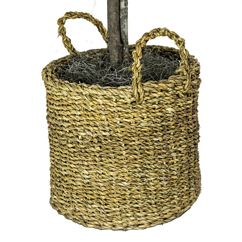 72" Artificial Ficus Tree in Basket | Wayfair Professional