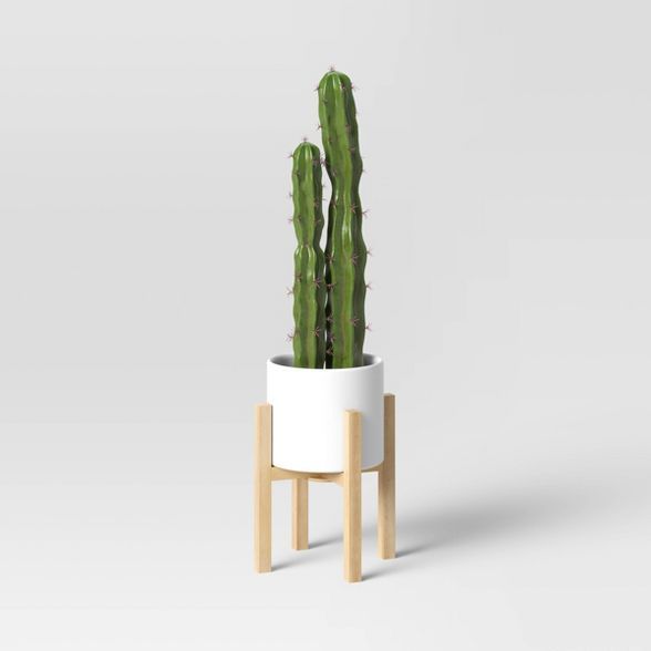 Cactus in Ceramic Wood Pot - Threshold™ | Target