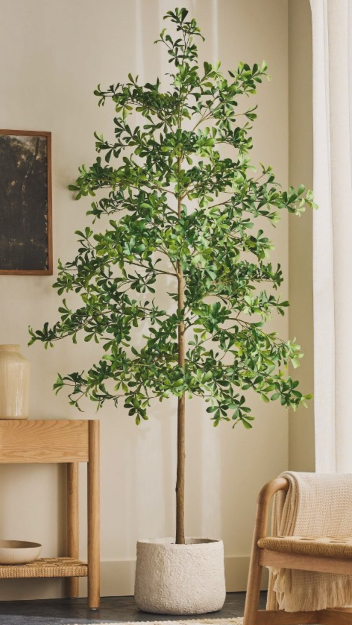 In love this black olive tree from @Target 😍

#LTKdayinmylife #LTKHome #LTKSaleAlert