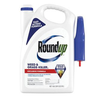 Weed and Grass Killer 4 with Trigger Sprayer, 1 gal., Use In and Around Flower Beds, Trees, and D... | The Home Depot