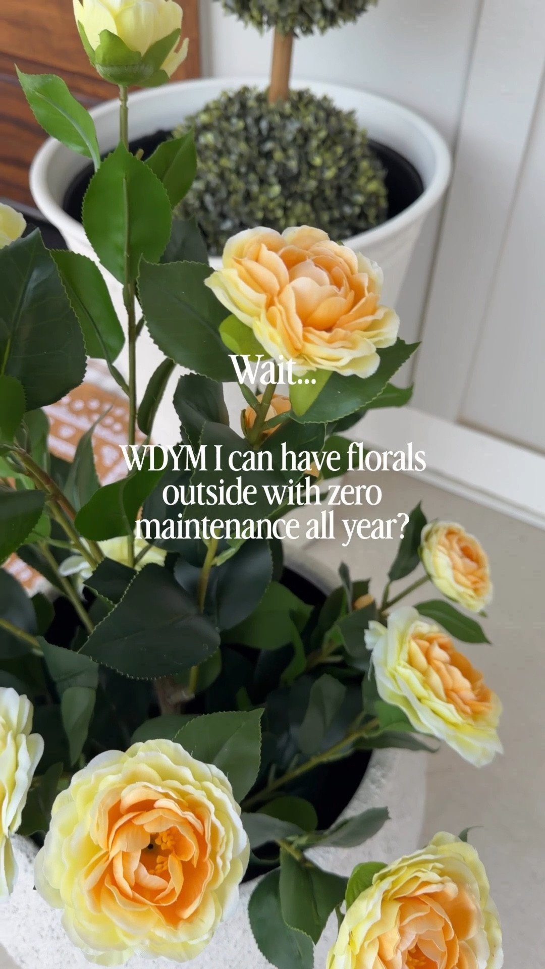 And affordable from AMAZON ✨

Forget the watering and the maintenance! These faux camellias are perfect for your Spring porch and will last year after year. And did I mention they are affordable!

#fauxflowers #founditonamazon #porchdecor #amazonfinds

#LTKmomlife #LTKHome