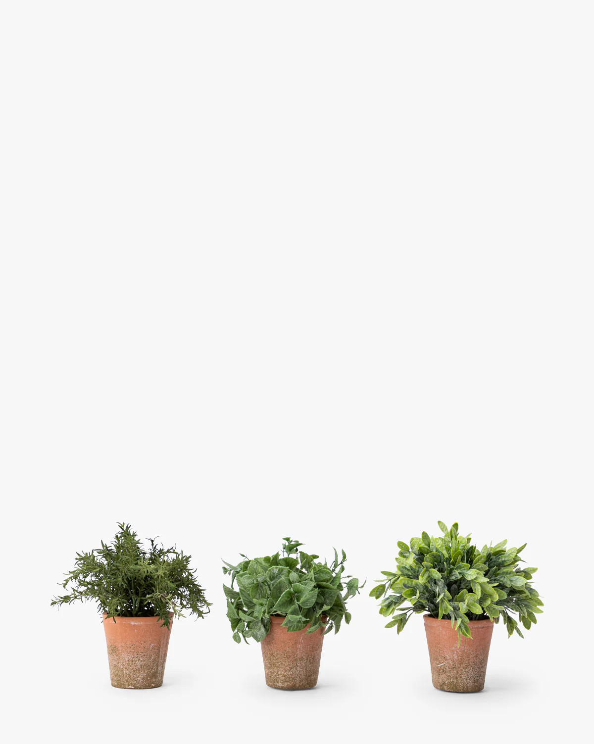 Soft Potted Herbs (Set of 3) | McGee & Co. (US)
