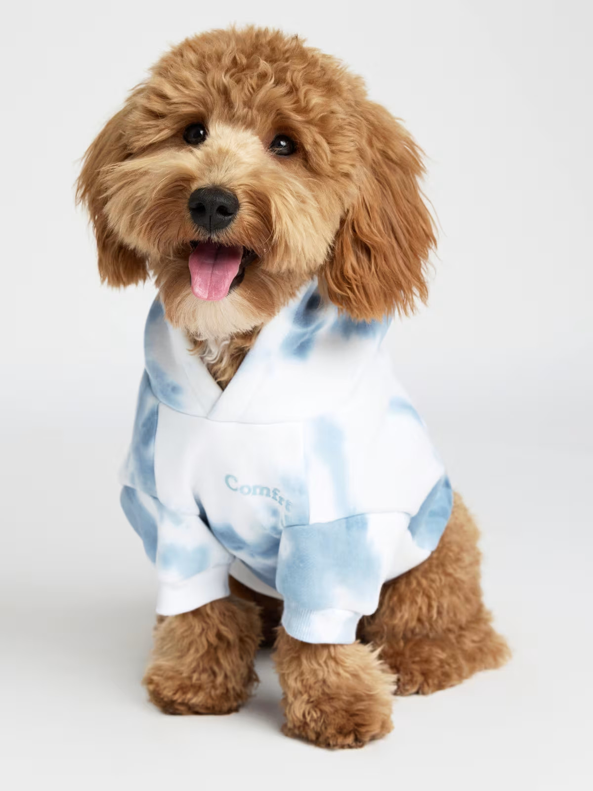 Minimalist Paw Hoodie — Comfrt | Comfrt