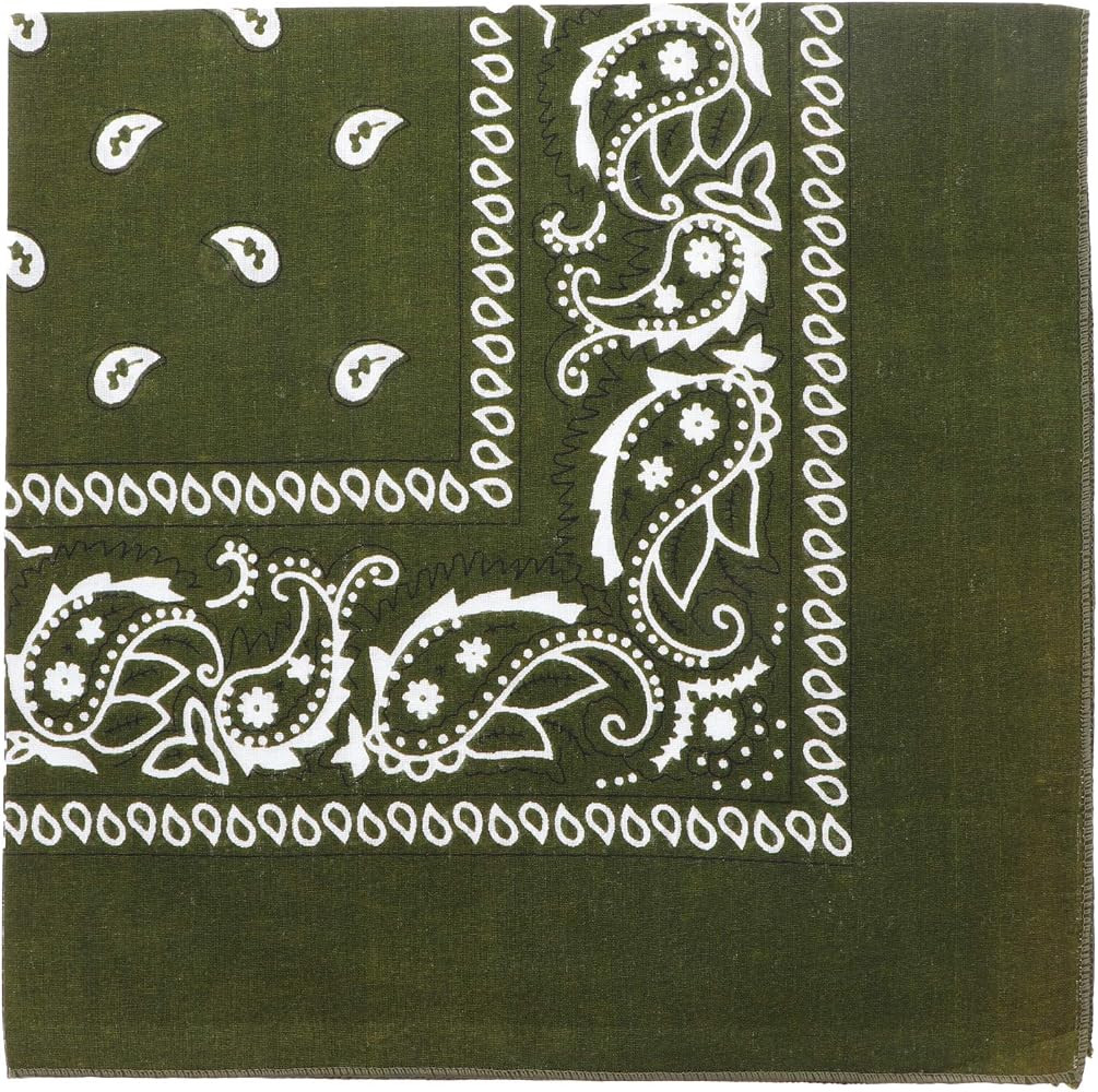 22 Inch Cotton Paisley Bandana | Amazon (US)