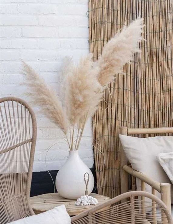 46 stems 31-35 inches pampas grass reed vine flower | Etsy | Etsy (US)