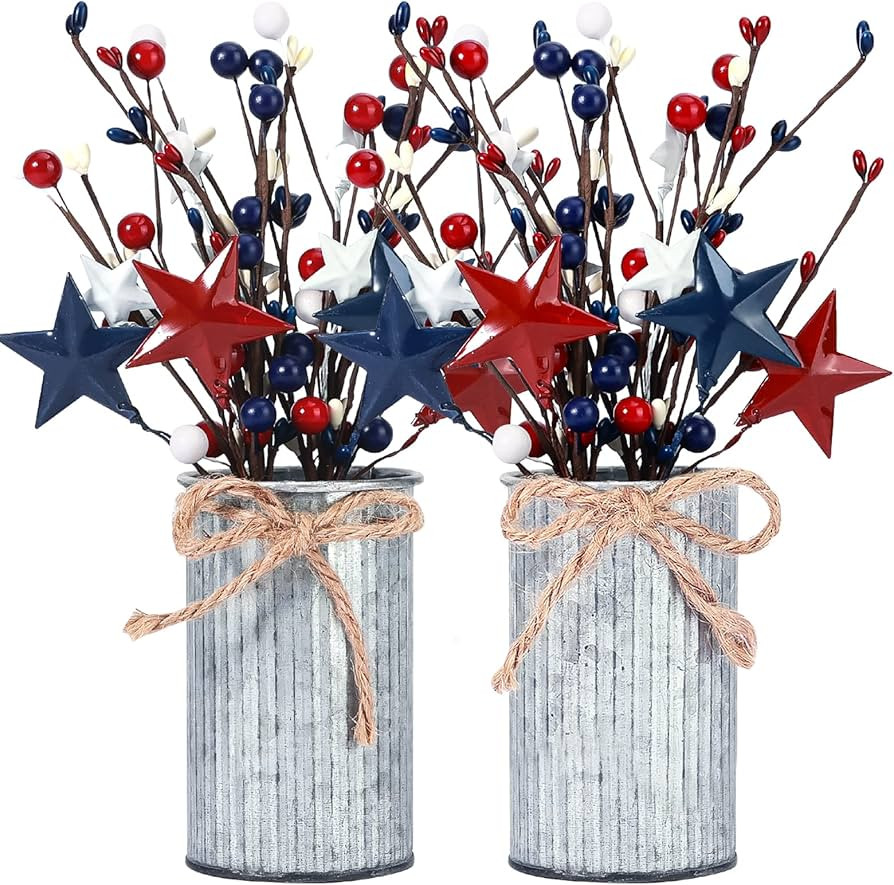 Omldggr 2 Pack 4th of July Decoration, Artificial Patriotic Picks with Vase, Artificial Berry Ste... | Amazon (US)