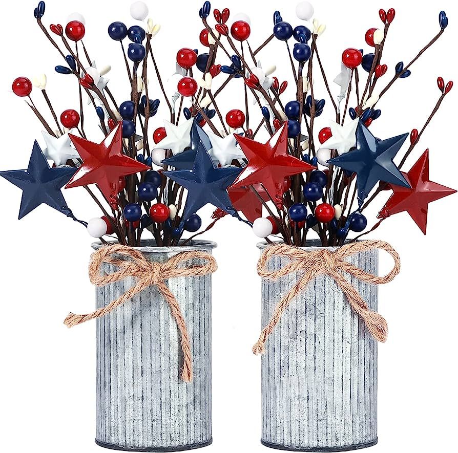 Omldggr 2 Pack 4th of July Decoration, Artificial Patriotic Picks with Vase, Artificial Berry Ste... | Amazon (US)