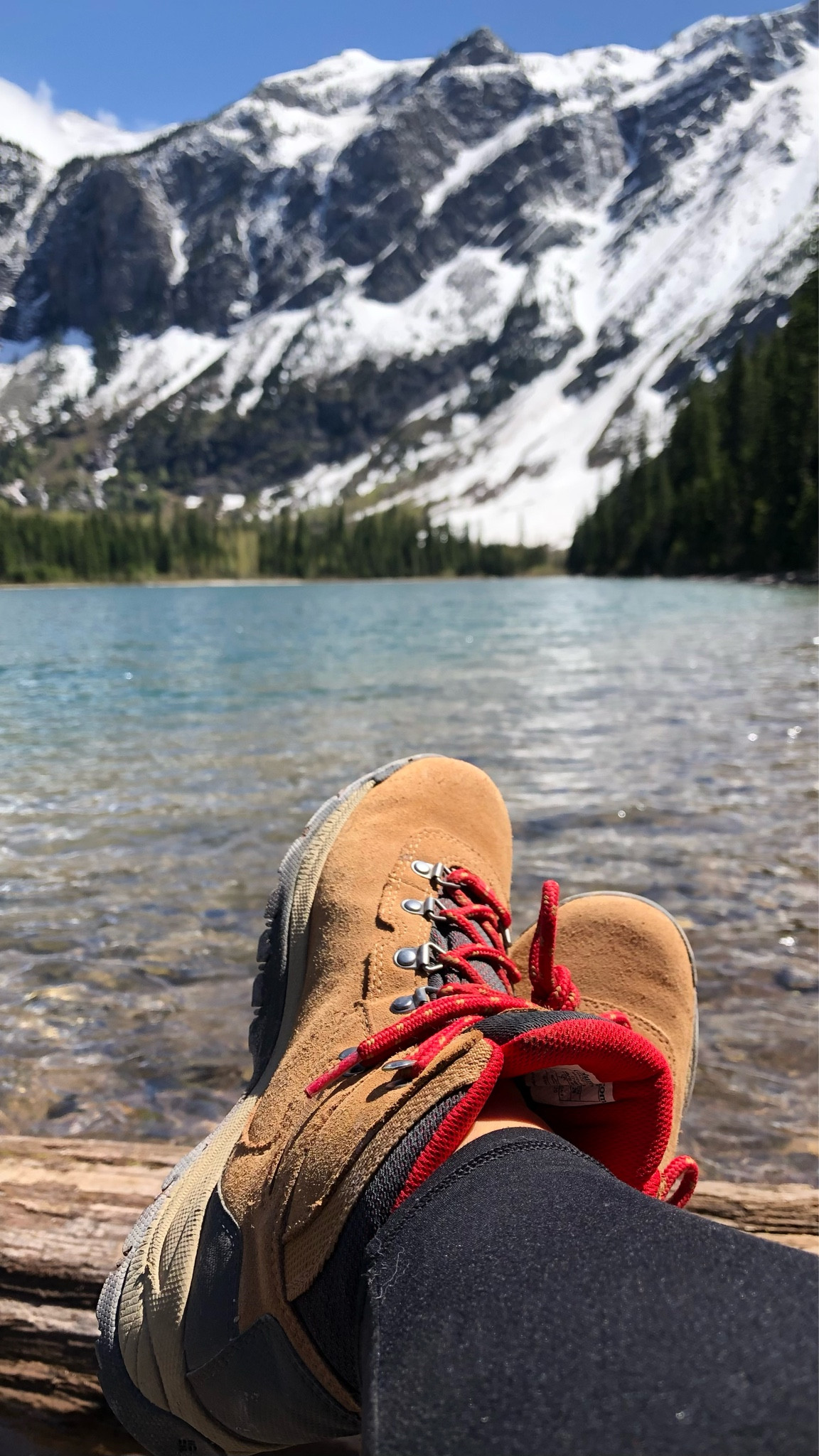 My waterproof super comfy hiking boots are the lowest price I’ve ever seen them today!! Snag them for 50% off for Black Friday! 

#LTKShoeCrush #LTKCyberWeek #LTKTravel