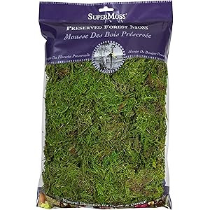 SuperMoss (25322) Forest Moss Preserved, Fresh Green, 8oz | Amazon (US)