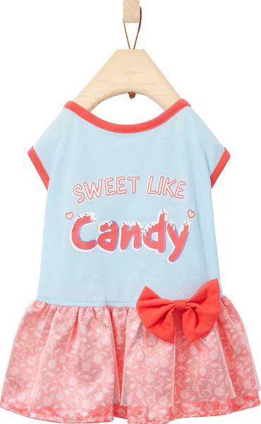 FRISCO Sweet Like Candy Dog & Cat Dress, Small - Chewy.com | Chewy.com