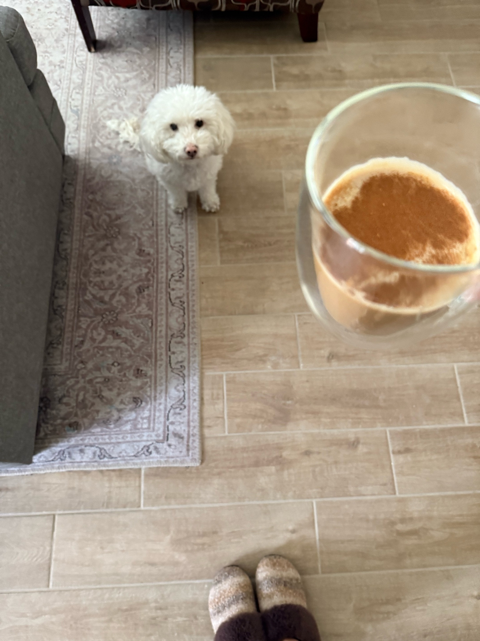 slow mornings w/ coffee > 

#LTKCyberWeek #LTKFindsUnder50 #LTKHome