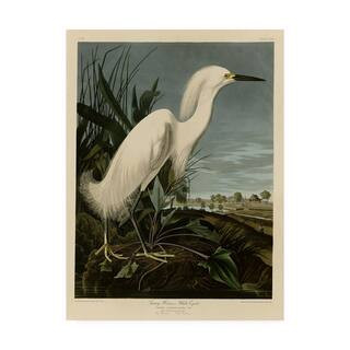 14 in. x 19 in. Snowy Heron by John James Audubon Floater Frame Animal Wall Art | The Home Depot