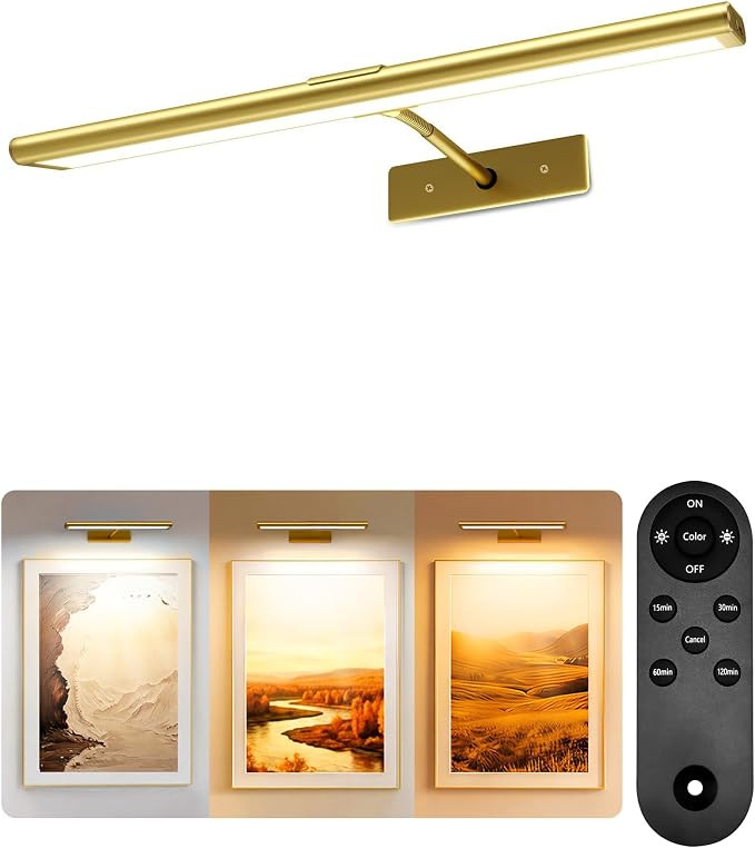 EZVALO 16'' Picture Light for Wall, 4800mAh Rechargeable Wireless IR Remote, Dimmable Magnetic LE... | Amazon (CA)