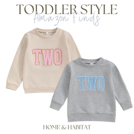 Toddler birthday sweatshirts boys and girls

#LTKfamily #LTKkids #LTKparties