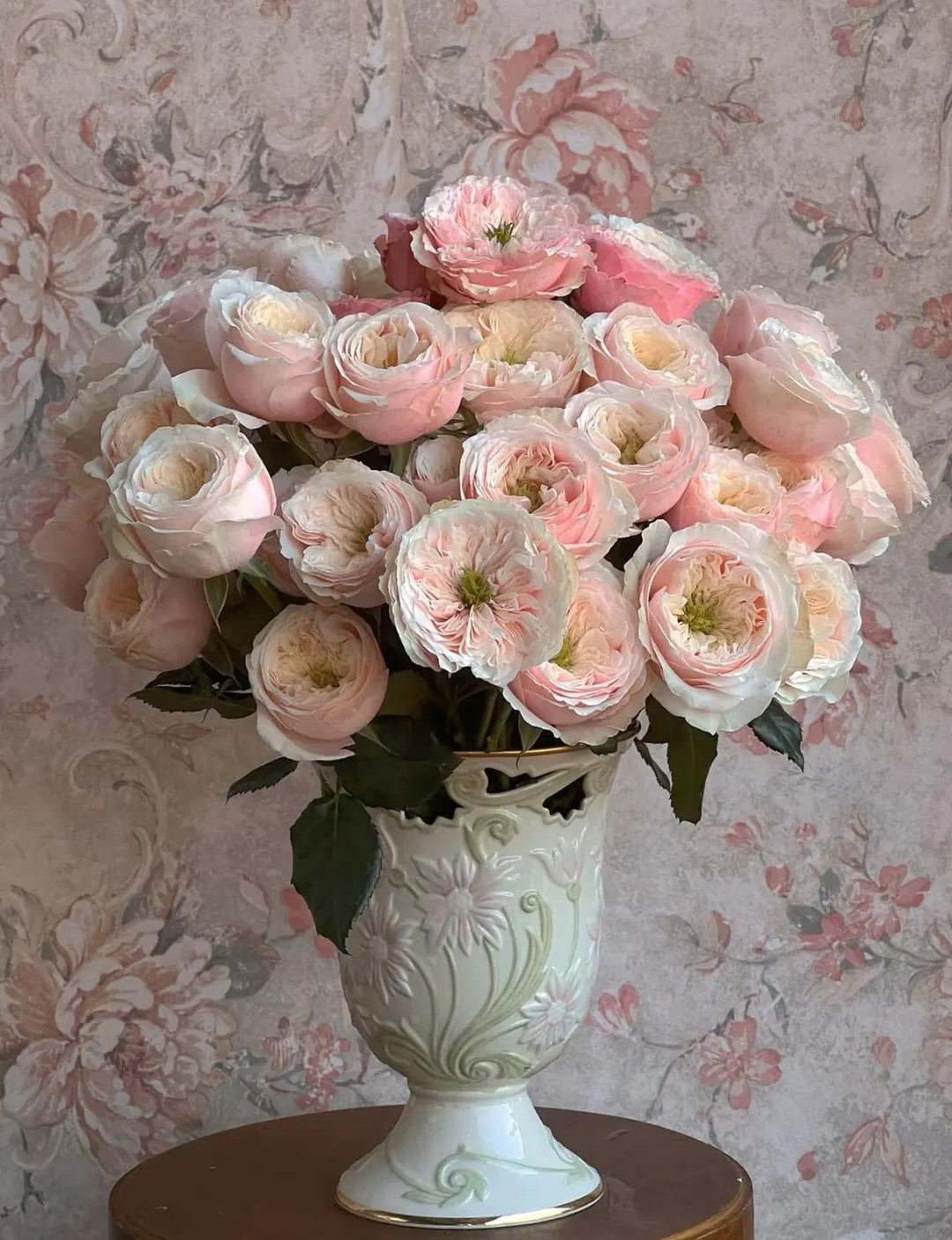 Darlington — Rare Rose Live Plant — Elegant Soft Blush Pink — VIP Netherlands Florist Shrub... | Etsy (US)