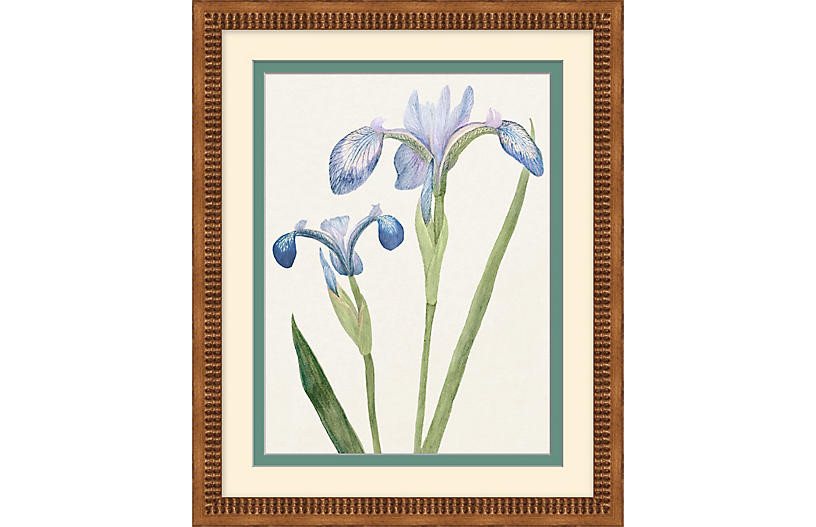 One Kings Lane, Periwinkle Flowers 1 | One Kings Lane