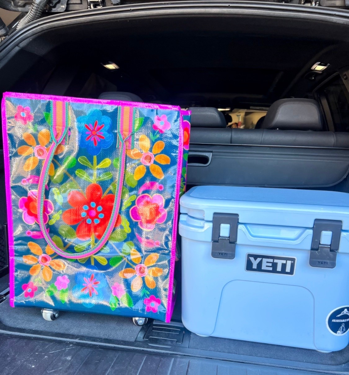 Yeti Roadie.