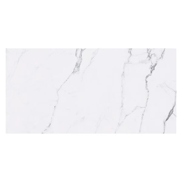 Statuarietto 12" x 24" Marble Statuario Look Spanish Tile | Wayfair Professional