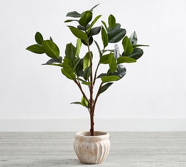 Faux Potted Rubber Tree | Pottery Barn (US)