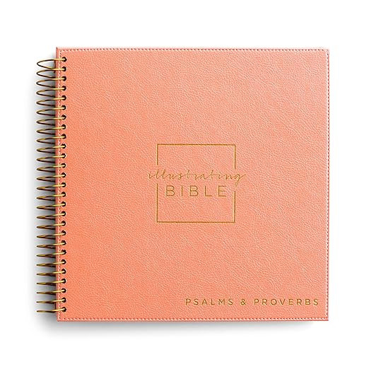 Illustrating Bible NIV: Books of Psalms & Proverbs     Spiral-bound – January 5, 2020 | Amazon (US)